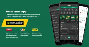 Explore BetWinner Online Sportsbook Your Ultimate Betting Experience