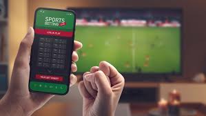 Todo lo que necesitas saber sobre Betwinner Promociones, Apuestas y Más